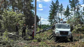 Четыре деревни Гомельской области пока остаются запитаны от дизель-генераторов после стихии