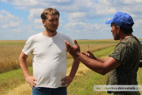 На Чечерщине приступили к уборке зерновых