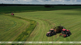 First grass in Belarus cut on 64% of area