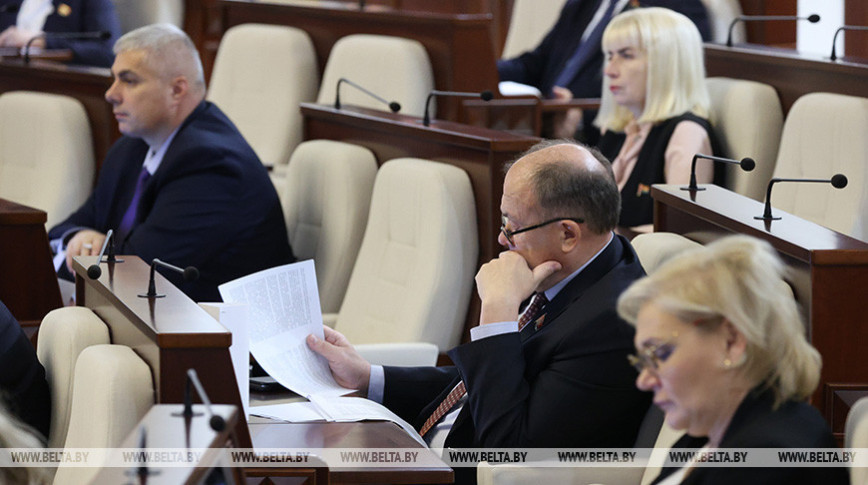 Депутаты приняли в двух чтениях законопроект о гражданстве Республики Беларусь