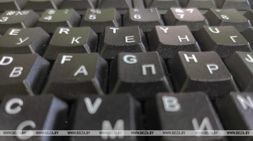 Услуги и продукцию белорусских лесхозов теперь можно оплатить онлайн