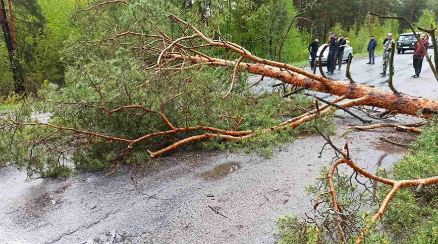 Фото Гомельского областного УМЧС