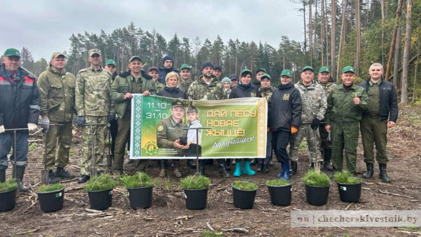 На Чачэршчыне стартавала акцыя «Дай лесу новае жыццё!»