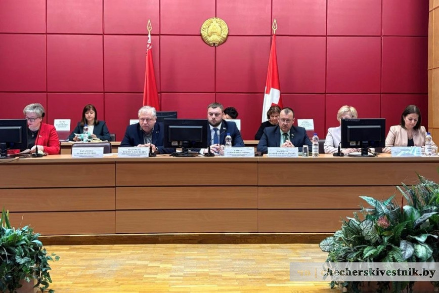Адлоў, ператрымка і новы дом: як у Чачэрскім раёне вырашаюць пытанне з безнагляднымі жывёламі