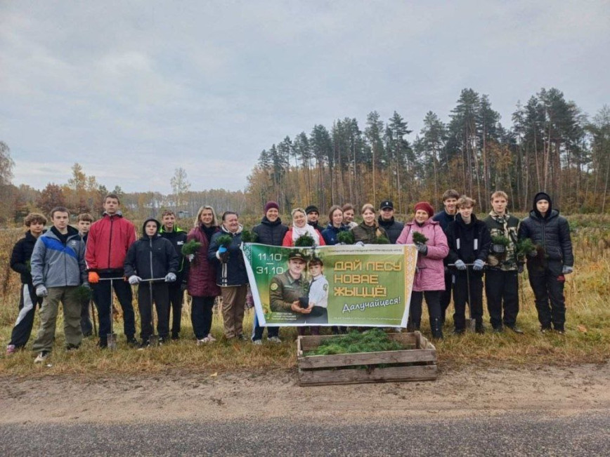 «Дай лесу новае жыццё!»: у Чачэрскім раёне высадзілі 108 тысяч соснаў 

